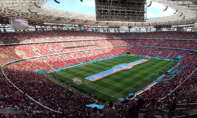 也为普罗大 也为普罗大