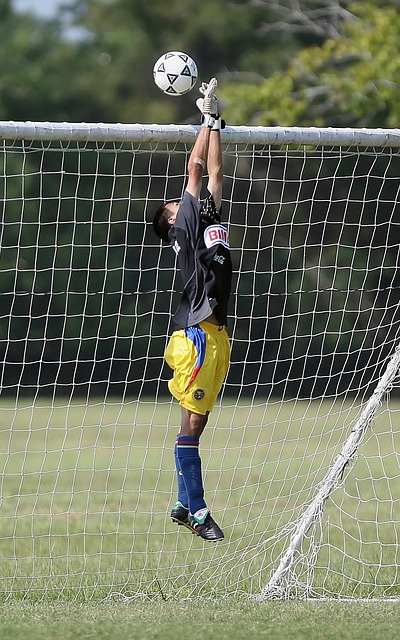 正规体育赛 正规体育赛