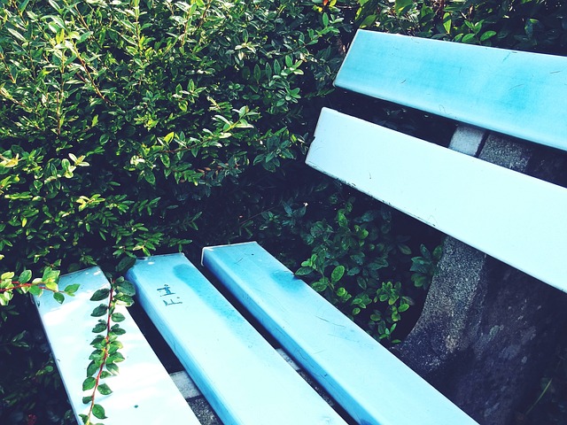 也预示着中 也预示着中